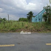 Cần bán lô đất 451.8m² mặt tiền đường nhựa HL 02 Kiểng Phước, Gò Công Đông gần KCN Gia Thuận 1-2